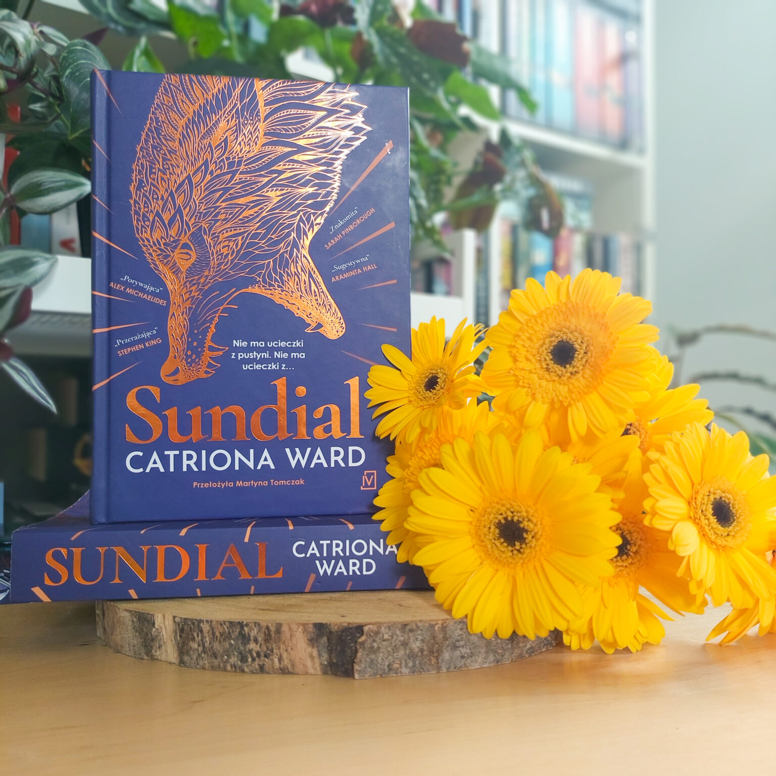 sundial catriona ward summary